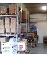 Affitto Magazzino in Via della Scienza Affitto Magazzino in Via della Scienza