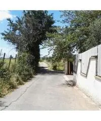 Affitto Magazzino in Via Appia Nuova, 21 Affitto Magazzino in Via Appia Nuova, 21