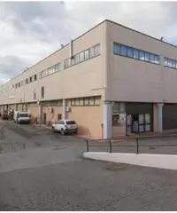 Affitto Magazzino in Via degli Olmetti Affitto Magazzino in Via degli Olmetti