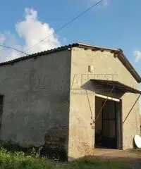 Affitto Magazzino in via del laghetto Affitto Magazzino in via del laghetto