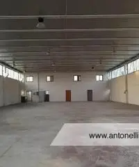 Albano Laziale -  Capannone 9 locali € 3.000 CA902 Albano Laziale -  Capannone 9 locali € 3.000 CA902