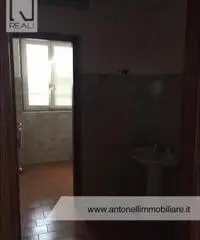 Albano Laziale -  Capannone 9 locali € 3.000 CA902 Albano Laziale -  Capannone 9 locali € 3.000 CA902