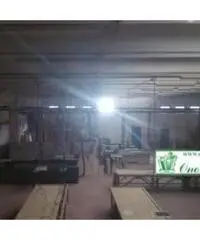 Bagni Di Tivoli: Affitto Capannone da 1200mq Bagni Di Tivoli: Affitto Capannone da 1200mq