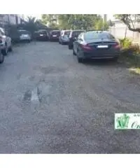 Bagni Di Tivoli: Affitto Capannone da 1200mq Bagni Di Tivoli: Affitto Capannone da 1200mq