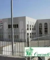 Bagni Di Tivoli: Affitto Magazzino da 1250mq