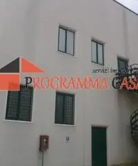 Capannone industriale in vendita a Pomezia via vaccareccia c11 Capannone industriale in vendita a Pomezia via vaccareccia c11