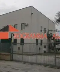 Capannone industriale in vendita a Pomezia via vaccareccia c11 Capannone industriale in vendita a Pomezia via vaccareccia c11
