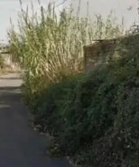 Cecchina: Vendita Capannone in via Catania