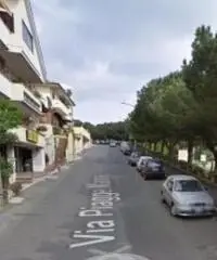 Cecchina: Vendita Capannone in Via dei Tulipani, 46