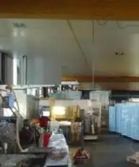 Cecchina: Vendita Capannone in Via dei Tulipani, 46