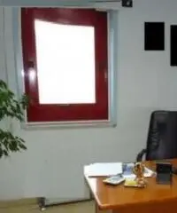 Cecchina: Vendita Capannone in Via dei Tulipani, 46