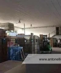 Ciampino -  Capannone C1/C2/C3 € 7.000 CA906 Ciampino -  Capannone C1/C2/C3 € 7.000 CA906
