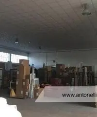 Ciampino -  Capannone C1/C2/C3 € 7.000 CA906 Ciampino -  Capannone C1/C2/C3 € 7.000 CA906