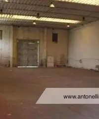 Ciampino -  Capannone mq 1500