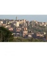 Colle Cavaliere-pietrara: Vendita Capannone in Via Nettunense