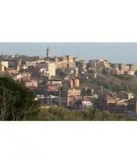 Colle Cavaliere-pietrara: Vendita Capannone in Via Laviniense