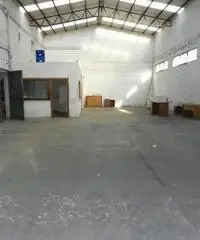 Fregene: Affitto Capannone in Viale di Porto Fregene: Affitto Capannone in Viale di Porto