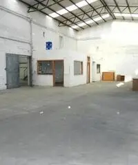 Fregene: Affitto Capannone in Viale di Porto Fregene: Affitto Capannone in Viale di Porto