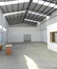 Fregene: Affitto Capannone in Viale di Porto Fregene: Affitto Capannone in Viale di Porto