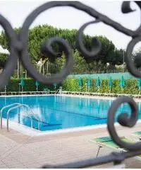 in affitto Professionale capannone prenestina mq 500 in affitto Professionale capannone prenestina mq 500