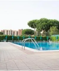 in affitto Professionale capannone prenestina mq 500 in affitto Professionale capannone prenestina mq 500