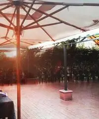 in affitto Professionale capannone prenestina mq 500 in affitto Professionale capannone prenestina mq 500