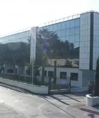 Le Macere: Affitto Laboratorio in Via Olmetti Le Macere: Affitto Laboratorio in Via Olmetti