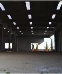 Monterotondo Scalo: Vendita Capannone in Via Leonardo Da Vinci