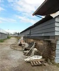 Monterotondo Scalo: Vendita Capannone in via I. Galvani