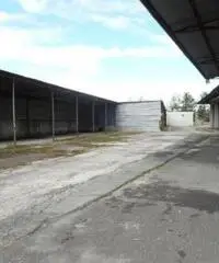 Monterotondo Scalo: Vendita Capannone in via I. Galvani