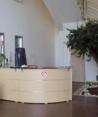 Palestrina capannone industriale 1000 mq arredato + piazzale tlc movie Palestrina capannone industriale 1000 mq arredato + piazzale tlc movie