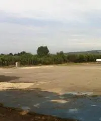 Pavona: Affitto Capannone da 1200mq Pavona: Affitto Capannone da 1200mq