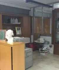 Pavona: Vendita Capannone in Via dei Tulipani