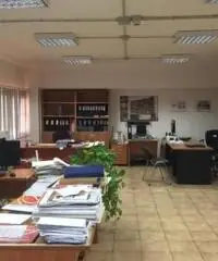 Pavona: Vendita Capannone in Via dei Tulipani