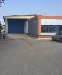 RifITI 003-V20/623 - Capannone Industriale in Affitto a Ariccia di 1600 mq