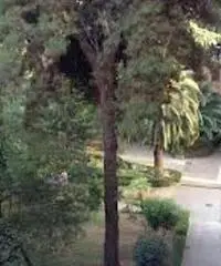 RifITI 048-AA15751 - Magazzino in Vendita a Roma - Ardeatino/Colombo/Garbatella di 48 mq