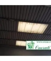 Santa Lucia: Vendita Capannone in Strada Provinciale 29b