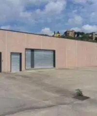 Santa Lucia: Vendita Capannone in via monte bianco 22 Santa Lucia: Vendita Capannone in via monte bianco 22