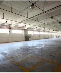 Santa Marta: Affitto Capannone in Via Morlupo