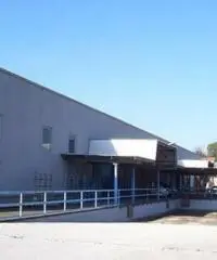 Santa Procula: Affitto Capannone in via pontina vecchia Santa Procula: Affitto Capannone in via pontina vecchia