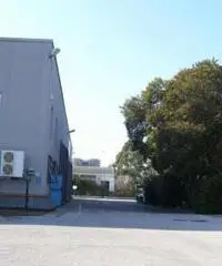 Santa Procula: Affitto Capannone in via pontina vecchia Santa Procula: Affitto Capannone in via pontina vecchia