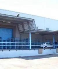 Santa Procula: Affitto Capannone in via pontina vecchia Santa Procula: Affitto Capannone in via pontina vecchia