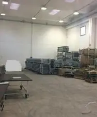 Setteville: Affitto Capannone in via Tiburtina Setteville: Affitto Capannone in via Tiburtina