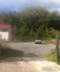 Testa Di Lepre Di Sopra: Vendita Capannone in Via dell'Arrone