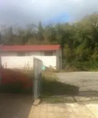 Testa Di Lepre Di Sopra: Vendita Capannone in Via dell'Arrone