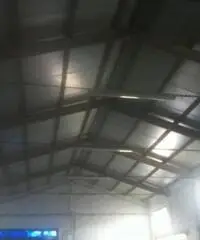 Testa Di Lepre Di Sopra: Vendita Capannone in Via dell'Arrone