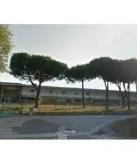 Vendita Capannone da 11200mq Vendita Capannone da 11200mq