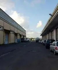 Vendita Capannone da 5800mq Vendita Capannone da 5800mq