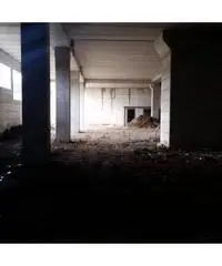 Vendita Capannone in Strada Statale 216