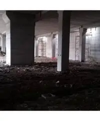 Vendita Capannone in Strada Statale 216